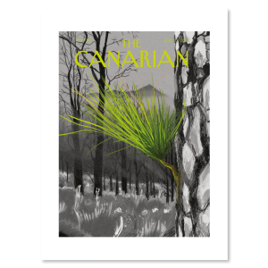 Lamina-Poster-The-Canarian-illustrations-50-Javi-Txuela