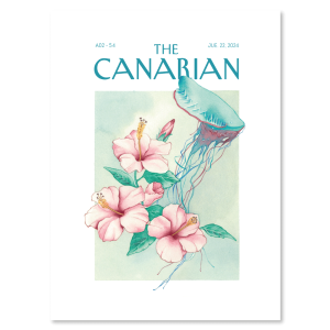 Lamina-Poster-The-Canarian-illustrations-54-Gaia-Vecchi
