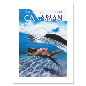 Lamina-Poster-The-Canarian-illustrations-26-Silviaely