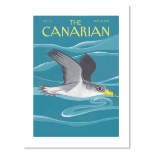 Lamina-Poster-The-Canarian-illustrations-71-Edurne-Armentia
