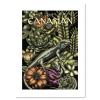Lamina-Poster-The-Canarian-illustrations-89-ArteLajita